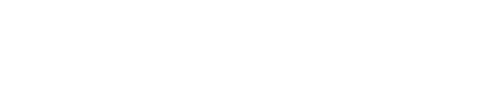 Florida Semiconductor Institute