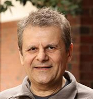 Faculty Member Mircea Stan